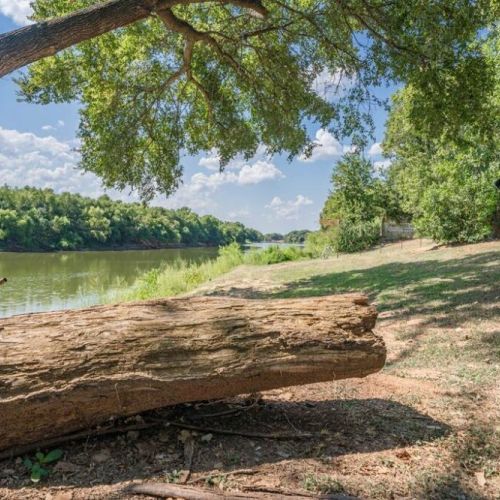 Sit by the riverbank under the shade of a tree and take in the beautiful landscape